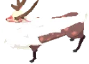 Cervus
