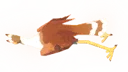 Dromai