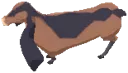 Nubi Goat