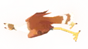 Sagi Bird