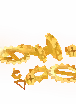 Ancient Relic