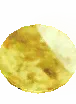 Auric Plate
