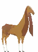 Captured Nubi Goat