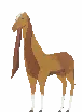Domesticated Nubi Goat