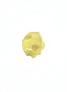 Sagi Egg Over-Easy