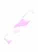 Hexite Wood Fragment
