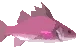 Abyssal Nobilis
