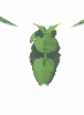 Miregrub
