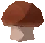 Infused Mushroom