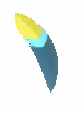 Owl Feather