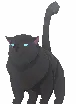 Deed: Pet Qitt (Black)