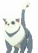 Deed: Pet Qitt (Gray and White)