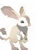 Deed: Pet Lusul (Biege)