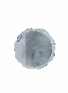 Sentinel's Insignia