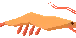 Abyssal Rasbi