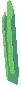 Pine Seed