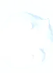 Winter Snow