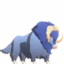 Plains Ox