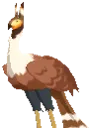 Sagi Bird