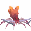 Small Araknir