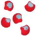 Armored Reef Clam