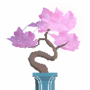 Blossom Bonsai