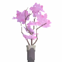 Blossom Branch