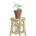 Cozy Cottage Table Plant