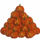 Giant Pumpkin Pile