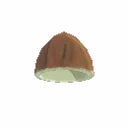 Coconut Hat