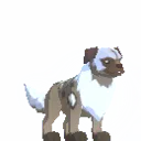 Deed: King Jakyl Puppy