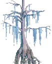 Decorative Ancient Cypress Tree