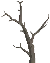 Dead Tree