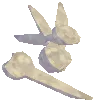 Fossils