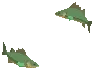 Frenzied School Of Briny Linus