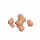Button Mushrooms