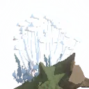 Enoki
