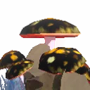 King Trumpet