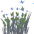 Rosemary