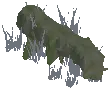 Rotten Log