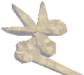 Sandcovered Fossils