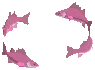 School Of Briny Argus