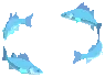 School Of Greenhorn Dolo