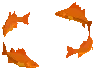 School Of Rocky Doimaach