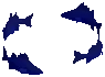 School Of Abyssal Nobilis