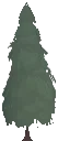 Decorative Mature Spruce Tree