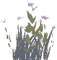 White Lily