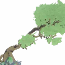 Decorative Windswept Tree